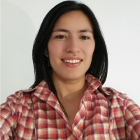 Heidy Julio Vargas