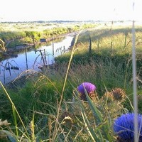 Carola Bianchi Di Carcano