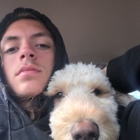 Nolan Stier