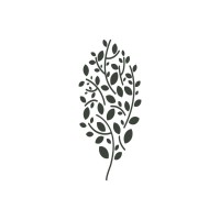 Derm Slim - Emagrecimento Saudável e Estética Natural