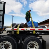 Enrique Dominguez Perez