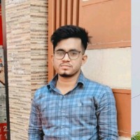Bibek Ray