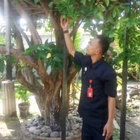 Subagus Hadiatmaja