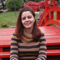 Ivina Soares Barros Limberger
