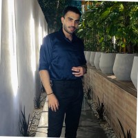Hassan Ansari