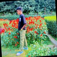 Md Romjan Ali