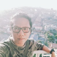 arnel david