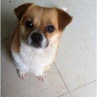 林伟东