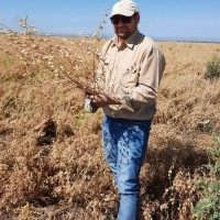 David Jesús Vexenat