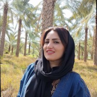 Elham Hosseini