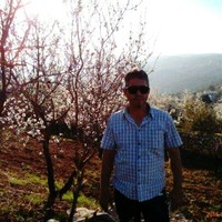 saed younis