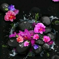 مجتبی فامیلی