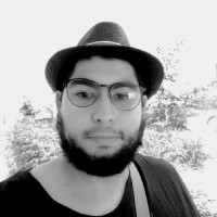 Amraoui F.
