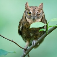 Валентина Румянцева