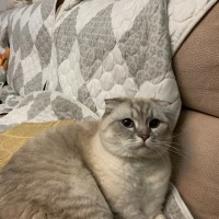 蒋丹敏