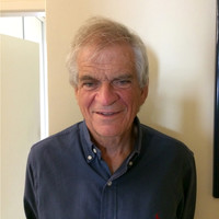 Luis Saraiva