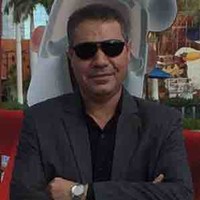 Hossam Elwani