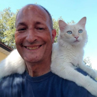 Larry Eliachar, Nremt-P