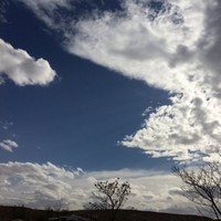 Michaela Fluri-Schneider