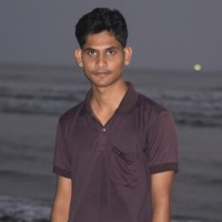 Md Shamim Hossain