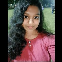 Arya Meshram