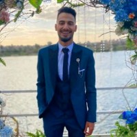 Ahmed Elraies