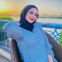 Alaa Eltokhy