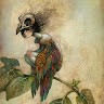 Alice Darling