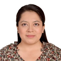 Liseth Patricia Merino Alvarado