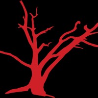 Digital Media Red Branch Media
