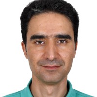 Javad Miraftabzadeh