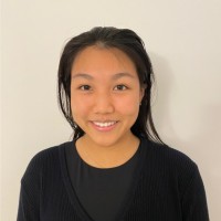 Kim Fang