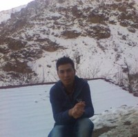 mojtaba hashemi
