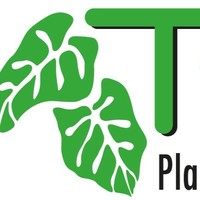 Tropex Plants