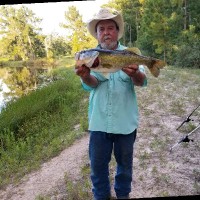 Larry Cook