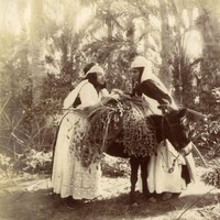 GOIENE MOHAMED