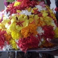 Inkollu Manasa