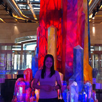 Vanessa Delos Santos, Cpa
