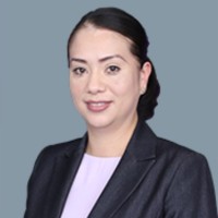 Brisa Casco