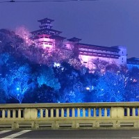 皮小波