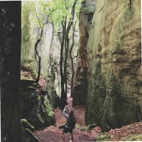 ARTURO GISBERT GALLEGO