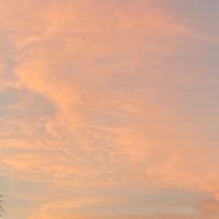 Alixandria (Ali) Chalmers