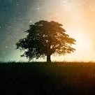 Arturo vazquez montes de oca