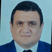 Tamer Farid Mohamed
