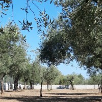 Benessere Movimento