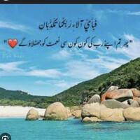 Saniya Taimoor