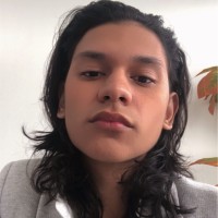 Luis Enrique Alcantar Carrillo