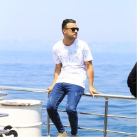 Alaa Mohsin