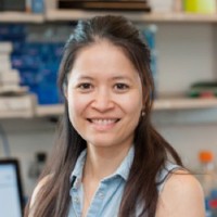 Diu Nguyen