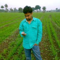 Yash Dubey